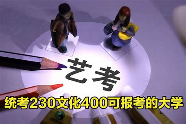 2023年美术230分文化400分能上一本吗