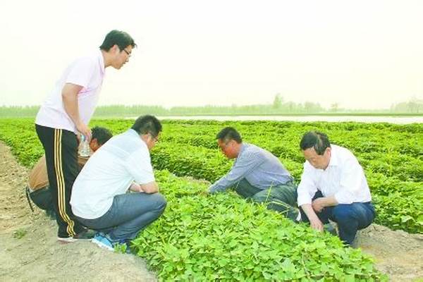 哪些大学有农艺教育专业-开设农艺教育专业的大学名单一览表(高考问答：农艺教育)