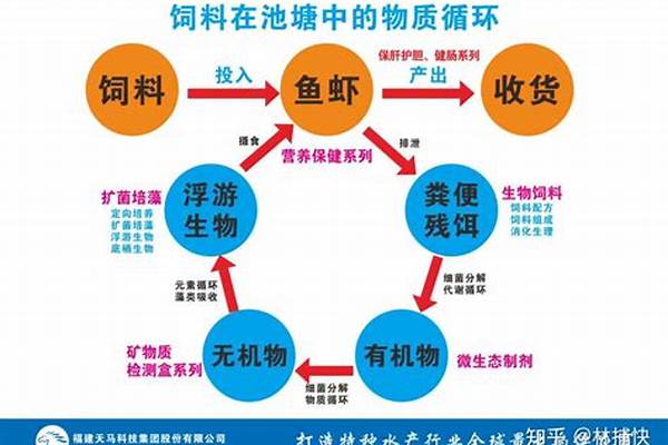 硫化氢气体(硫化氢怎么产生)