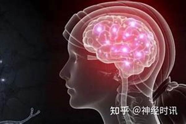 神经科学专业属于什么大类(高考问答：神经科学报考指导)