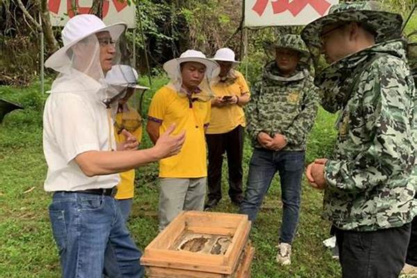 蜂学专业就业方向与就业前景如何样(高考问答：蜂学报考指导)